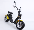 City COC Scooter EEC Version Harley Citycoco 60V