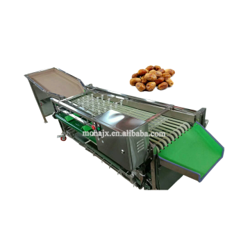 Automated Food Sorting Machines: Prices and Details for Fruit, Vegetable, and Potato Grading Equipment