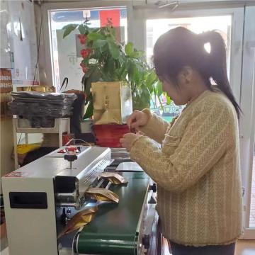 Continuous Band Sealer Machine for Plastic Bags | Horizontal Sealing Machine