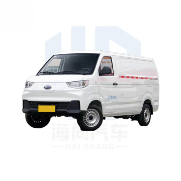 Kairui Porpoise High Performance Electric Cargo Van - Karry Truck