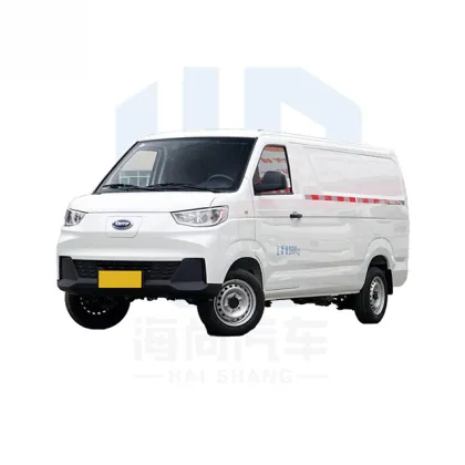 Kairui Porpoise High Performance Electric Cargo Van - Karry Truck