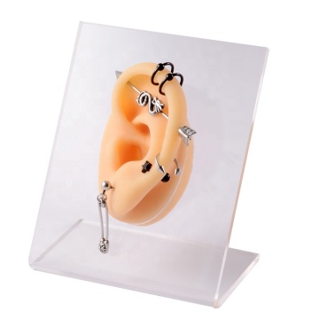 Multi-Color Silicone Ear Model and Jewelry Display Tool for Body Piercing and Hearing Aid Demonstrations