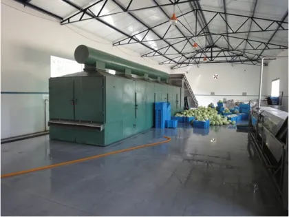 DWVF Multi-Belt Dryer