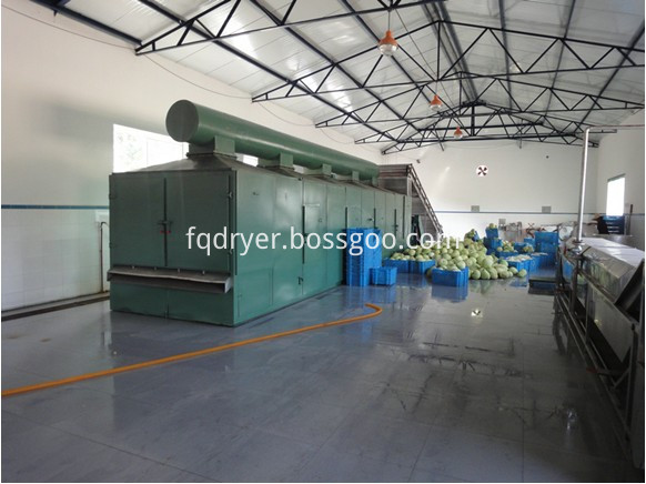 Belt Drying Machine for Feed