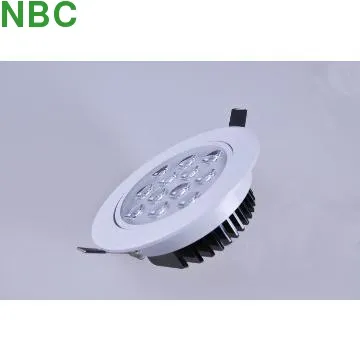 Matte white  12W Eco LED Ceiling Lights,Chain Ceiling Light