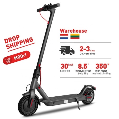 Poland warehouse stock 2 wheel electric scooter
