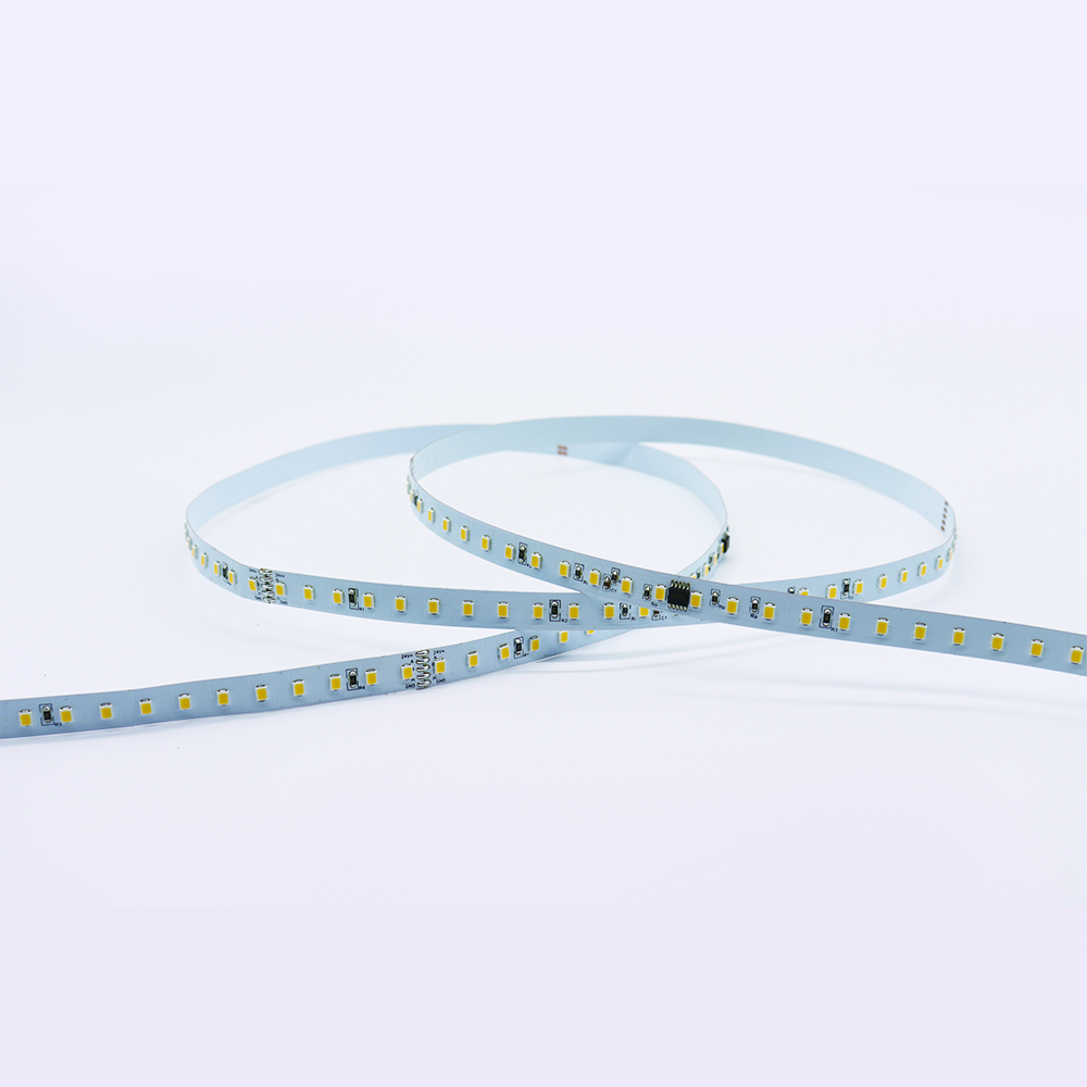 10 مم معالجة DMX 512 Blanca 2835 LED Pixel Strip Light DC 24V Light