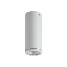 15W Led Surface Mount Die Cast Aluminum Downlight