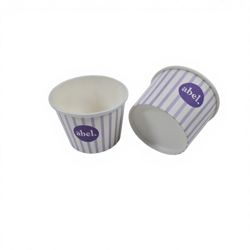 Lahodný zmrzlinový papírový pohár pro všechna roční období