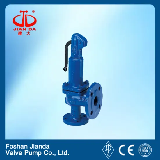 1/2" 150lb WCB safety valve flange connection