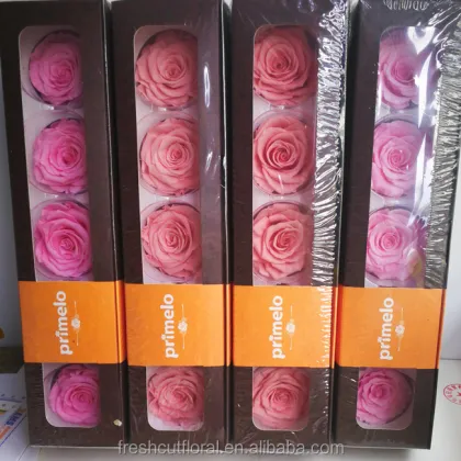 Kunming Wholesale Stabilized Flowers & Preserved Roses