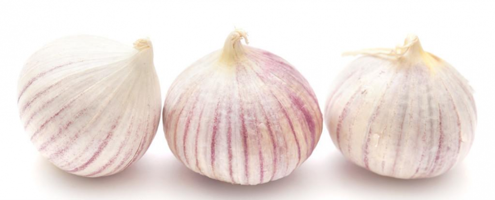 Cheap price 2021 new fresh garlic