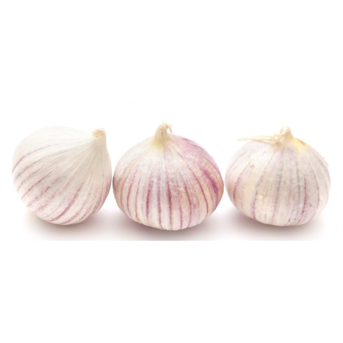 Cheap price 2021 new fresh garlic