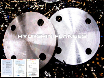 Blind Flange Flat Face EN1092-1 ประเภท 05 PN10 PN16