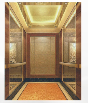 Luxury Home Lift with Machine Room