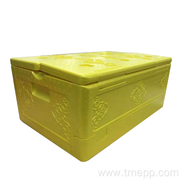 EPP refrigerated box picnic insulation capacity