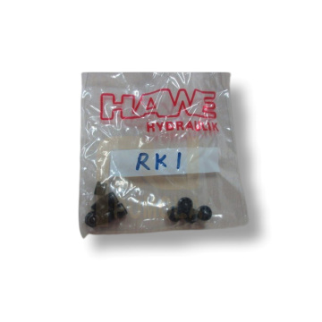 High-Quality RK1 HAWE Hydraulic Check Valve: Ensuring Smooth Oil Flow in Your System