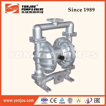 Wilden Chemical Diaphragm Pump