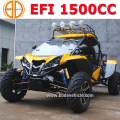 1500cc 4 x 4 strand Buggy voor de verkoop van de Renli Ourtdoor sport