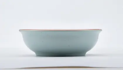 melamine shall dinner bowl