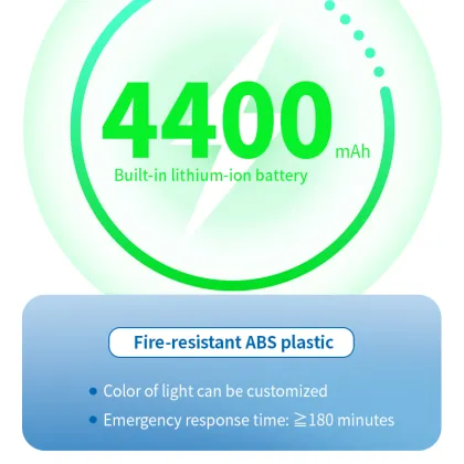 Led Emergency ceiling light