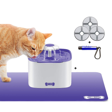 Fontana di acqua potabile per gatti con 3 filtri gratuiti