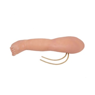 Darhmmy Modèle de jambe de veinette PVC de haute qualité pour la formation médicale
