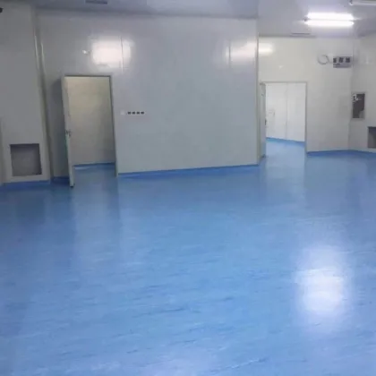 High Quality Antistatic Indoor Eco-Friendly Flooring: Microcement and Roll Plastic Options