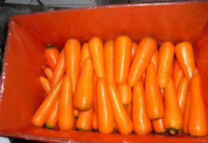 Good carrot sweet taste