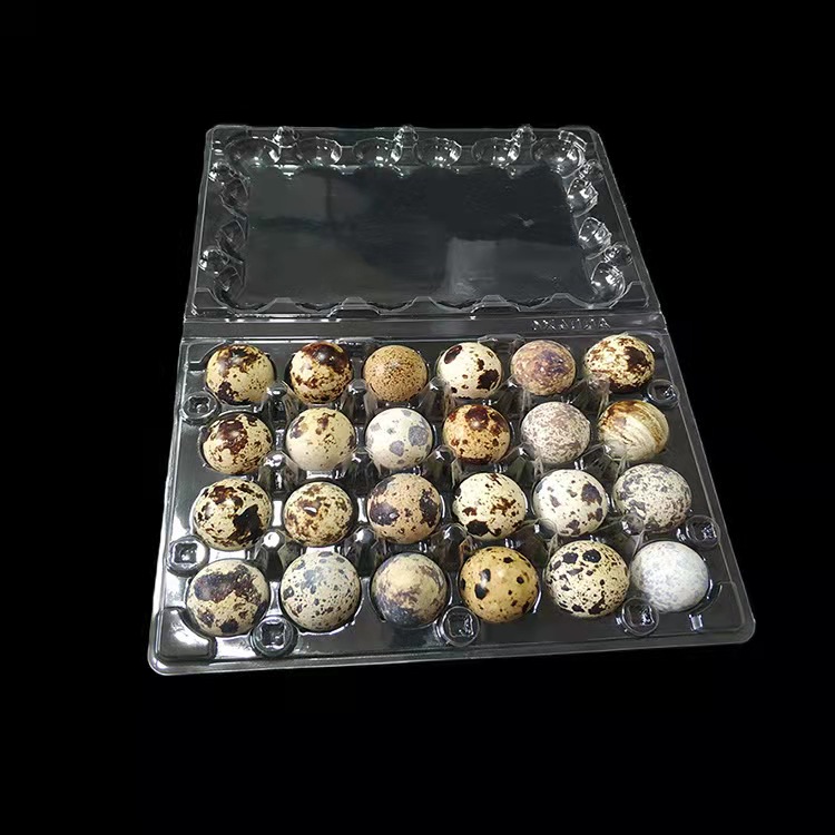 Wholesale Quail Eggs Tray Blister Box Clamshell Packaging