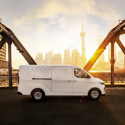 2024 SAIC-GM-Wuling Yangguang Adult Cheap 4 Wheel Electric Vehicle for Sale