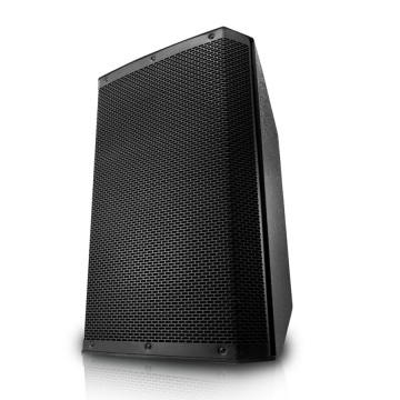 Professional 12 "home protable DSP speaker