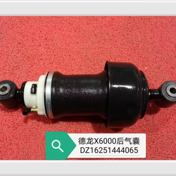Fast delivery european  heavy  truck  air suspension shock absorber DZ16251444065