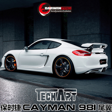 2014-2016 Cayman 981 TA Fiber Glass Rear Spoiler For Porsche