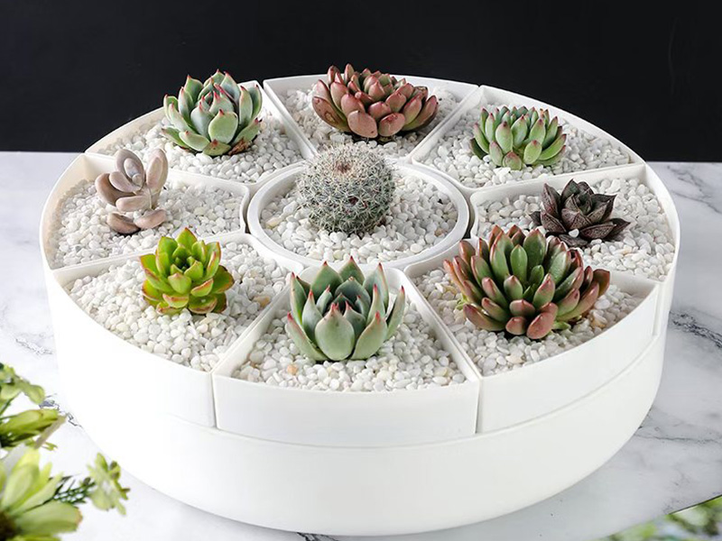Multi-grid Cactus Plant Pot
