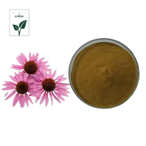 Echinacea Purpurea Extract Powder