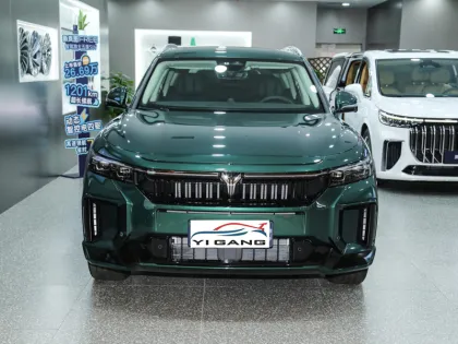 2024 Voyah Midsize SUV: New Design in Pure Electric Cars with 510 kW Power