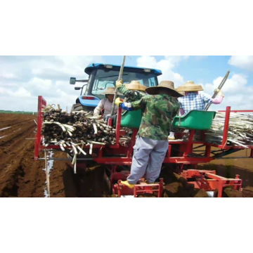 strumento agricolo attrezzatura per piantagioni di canna da zucchero