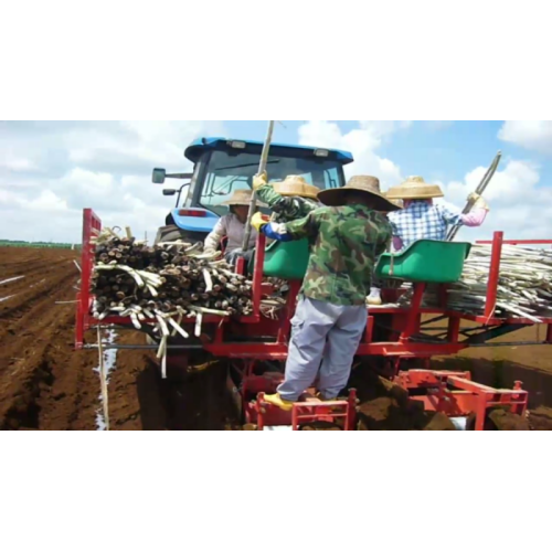 сельскохозяйственный инструмент оборудование для выращивания сахарного тростника