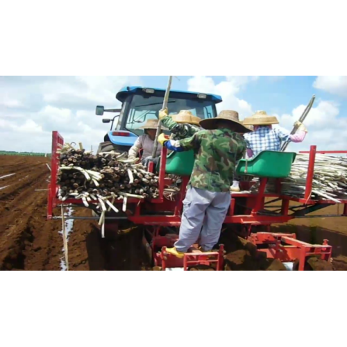 herramienta agrícola equipo de plantación de caña de azúcar