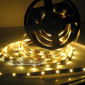 Wholesale 24V LED Strip Lights Non Waterproof