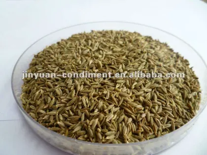dry cumin seeds