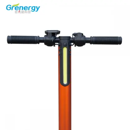 Motor E Scooter Electric Stand on Scooter Electric Scooter