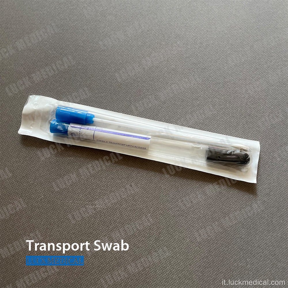 Stuart Amies Transport Swab con carbone