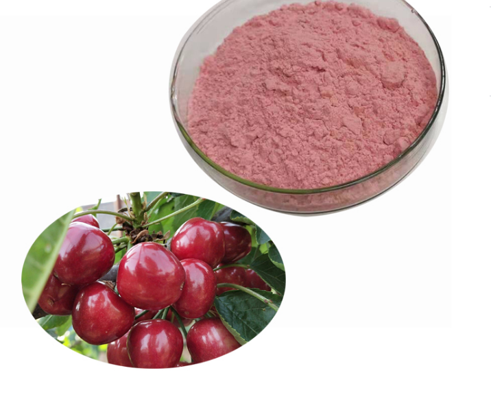 Price fruit Extract Pure Wild Cherry Extract Powder