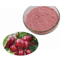 Price fruit Extract Pure Wild Cherry Extract Powder