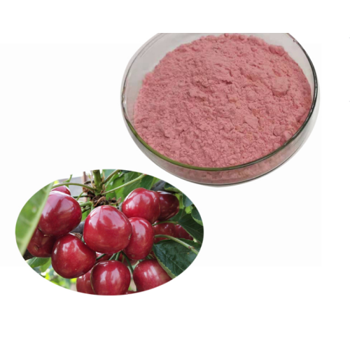 Price fruit Extract Pure Wild Cherry Extract Powder