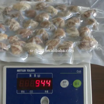 2016 new season frozen vacuum packed Short Necked Clam