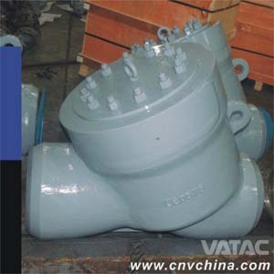 Cast & Forged Y Type Check Valve