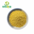 Kaempferol 98% Kaempferol Extract Powder